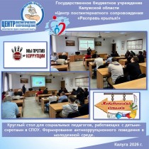 Круглый стол для социальных педагогов, работающих с детьми-сиротами в СПОУ. Формирование антикоррупционного поведения в молодежной среде.