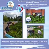 Развиваем практические навыки ведения домашнего хозяйства у детей-сирот. Социально-бытовая услуга.